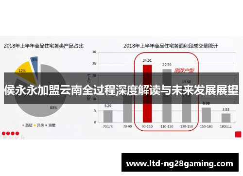 侯永永加盟云南全过程深度解读与未来发展展望