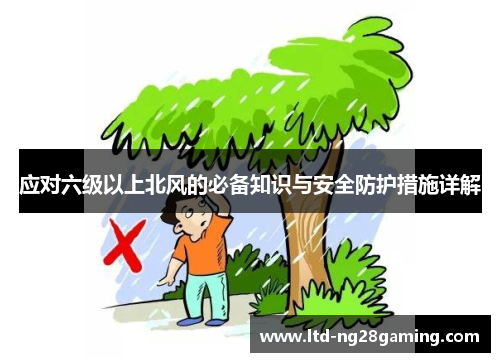 应对六级以上北风的必备知识与安全防护措施详解
