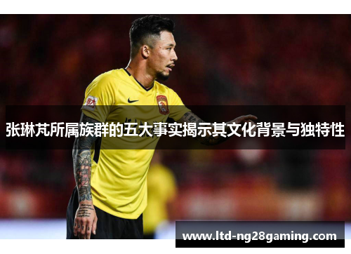 张琳芃所属族群的五大事实揭示其文化背景与独特性