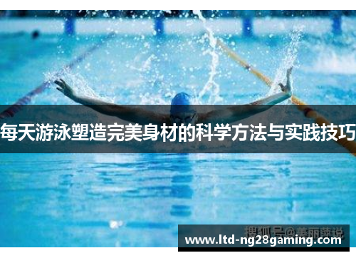每天游泳塑造完美身材的科学方法与实践技巧