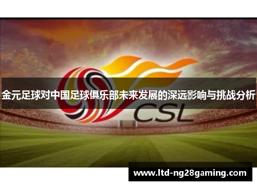 金元足球对中国足球俱乐部未来发展的深远影响与挑战分析