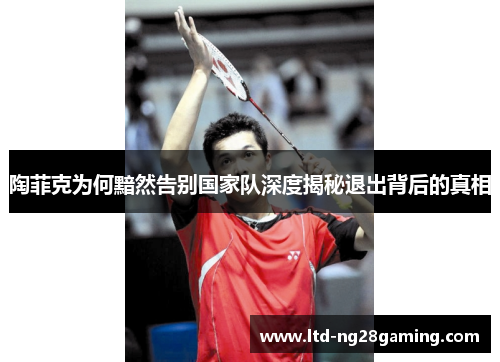 陶菲克为何黯然告别国家队深度揭秘退出背后的真相 陶菲克为何黯然告别国家队深度揭秘退出背后的真相