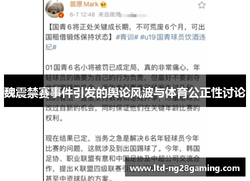 魏震禁赛事件引发的舆论风波与体育公正性讨论