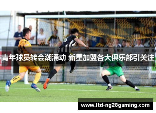 青年球员转会潮涌动 新星加盟各大俱乐部引关注