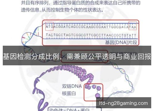 基因检测分成比例,需兼顾公平透明与商业回报 基因检测分成比例,需兼顾公平透明与商业回报